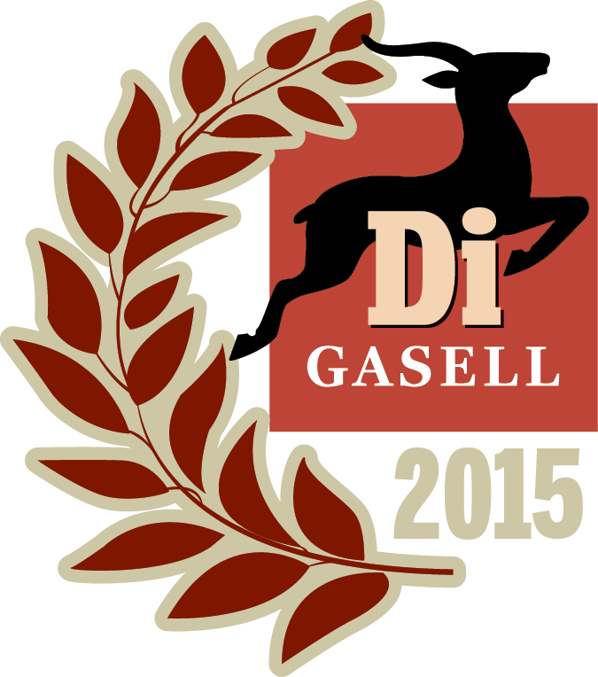 Gasell vinnare 2015